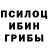 Галлюциногенные грибы мухоморы Grammar Johnson