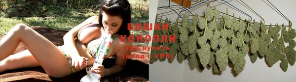гидропоника Аркадак