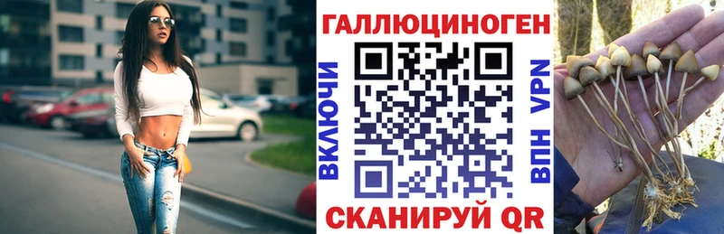 МЕГА зеркало  цены   Белокуриха  площадка официальный сайт  Галлюциногенные грибы ЛСД 